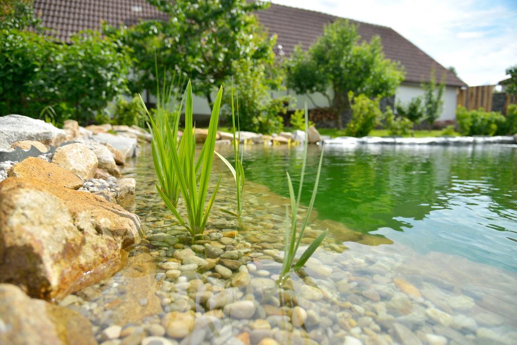 Pivovarsky Dvur Lipan ตีน นาด โวลตาวู ภายนอก รูปภาพ